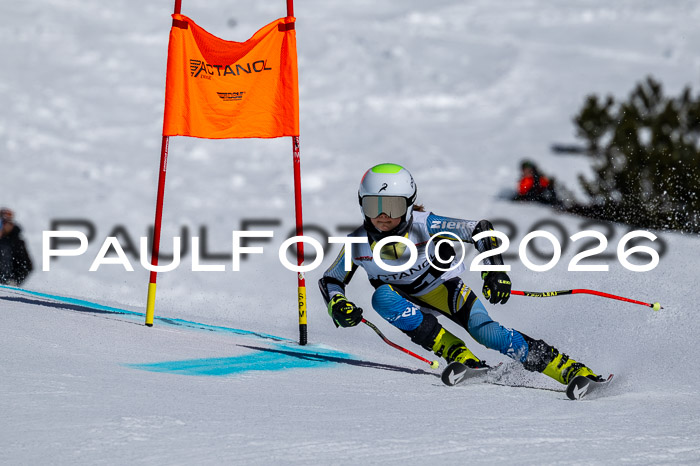 DSV - Actanol Deutscher Schülercup U12 Finale RSX 2026