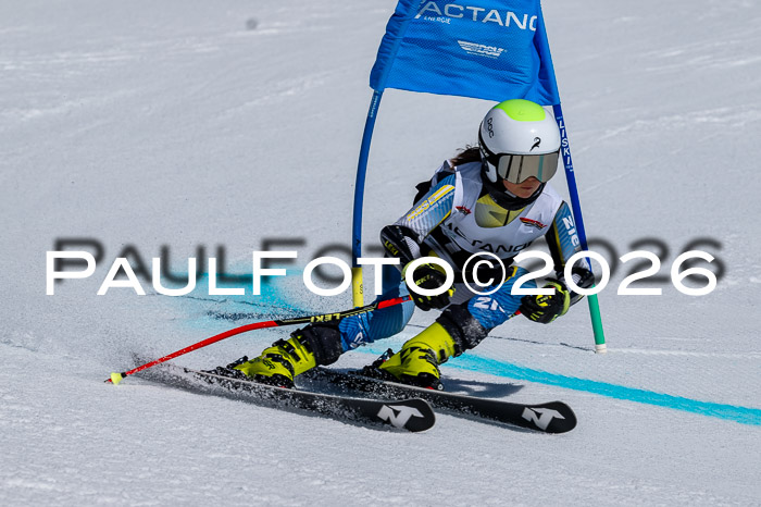 DSV - Actanol Deutscher Schülercup U12 Finale RSX 2026