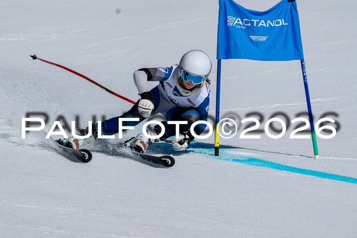 DSV - Actanol Deutscher Schülercup U12 Finale RSX 2026