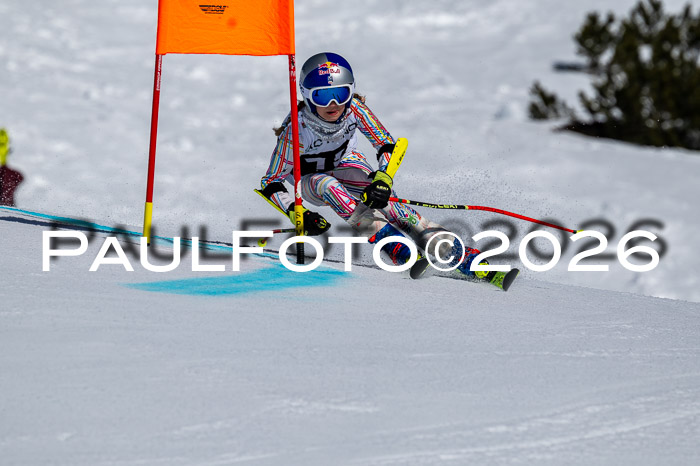 DSV - Actanol Deutscher Schülercup U12 Finale RSX 2026