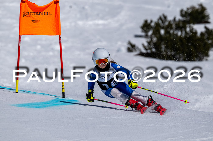 DSV - Actanol Deutscher Schülercup U12 Finale RSX 2026