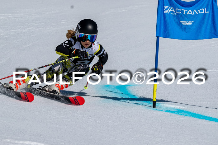 DSV - Actanol Deutscher Schülercup U12 Finale RSX 2026
