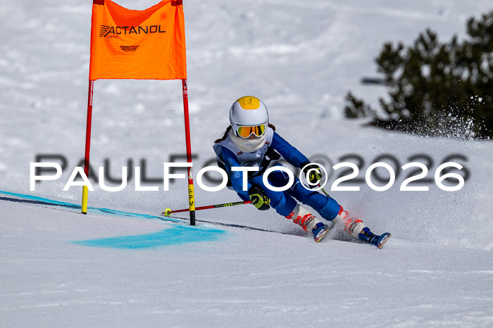 DSV - Actanol Deutscher Schülercup U12 Finale RSX 2026