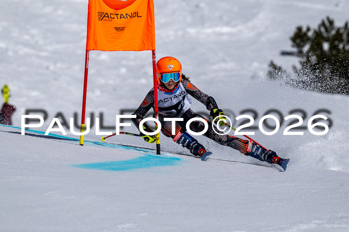 DSV - Actanol Deutscher Schülercup U12 Finale RSX 2026