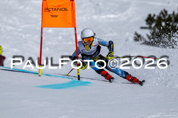 DSV - Actanol Deutscher Schülercup U12 Finale RSX 2026