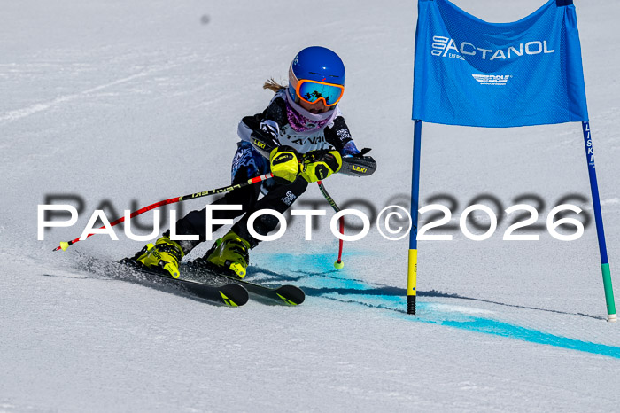 DSV - Actanol Deutscher Schülercup U12 Finale RSX 2026