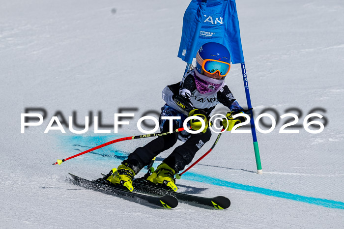 DSV - Actanol Deutscher Schülercup U12 Finale RSX 2026