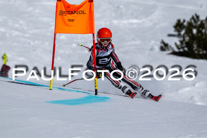 DSV - Actanol Deutscher Schülercup U12 Finale RSX 2026