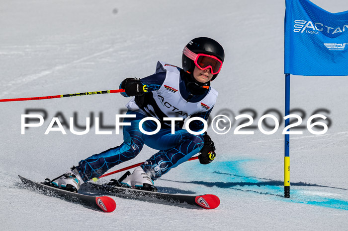 DSV - Actanol Deutscher Schülercup U12 Finale RSX 2026