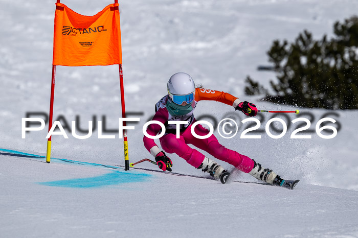 DSV - Actanol Deutscher Schülercup U12 Finale RSX 2026