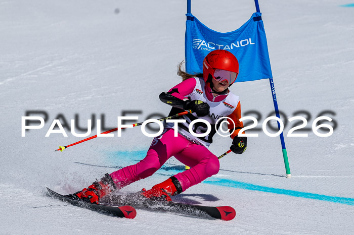 DSV - Actanol Deutscher Schülercup U12 Finale RSX 2026