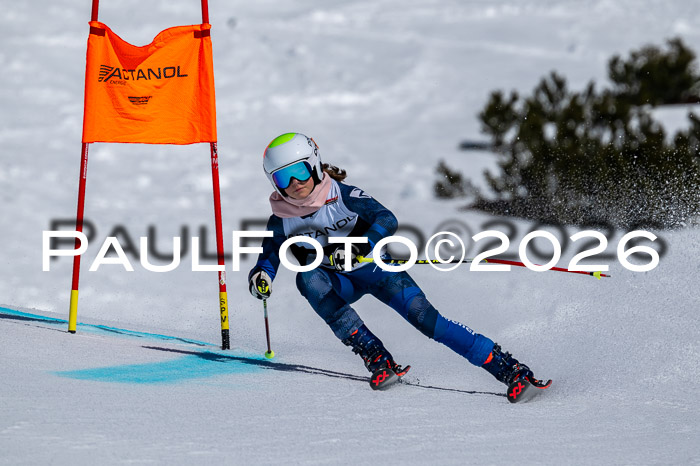 DSV - Actanol Deutscher Schülercup U12 Finale RSX 2026