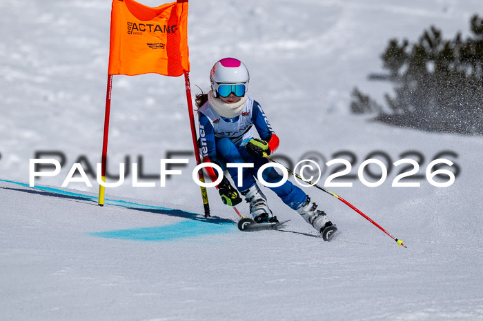 DSV - Actanol Deutscher Schülercup U12 Finale RSX 2026