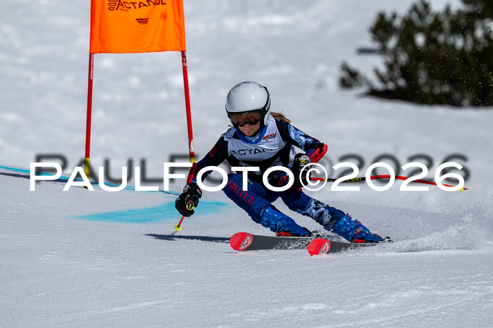 DSV - Actanol Deutscher Schülercup U12 Finale RSX 2026