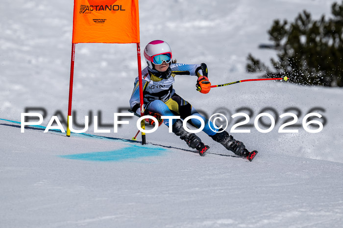 DSV - Actanol Deutscher Schülercup U12 Finale RSX 2026