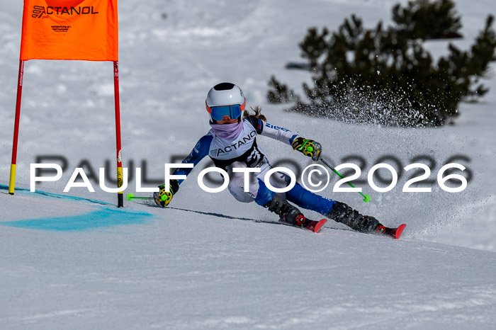 DSV - Actanol Deutscher Schülercup U12 Finale RSX 2026