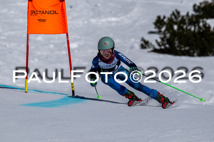 DSV - Actanol Deutscher Schülercup U12 Finale RSX 2026