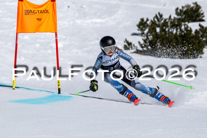 DSV - Actanol Deutscher Schülercup U12 Finale RSX 2026