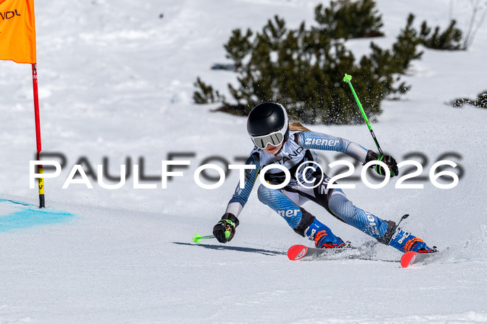 DSV - Actanol Deutscher Schülercup U12 Finale RSX 2026