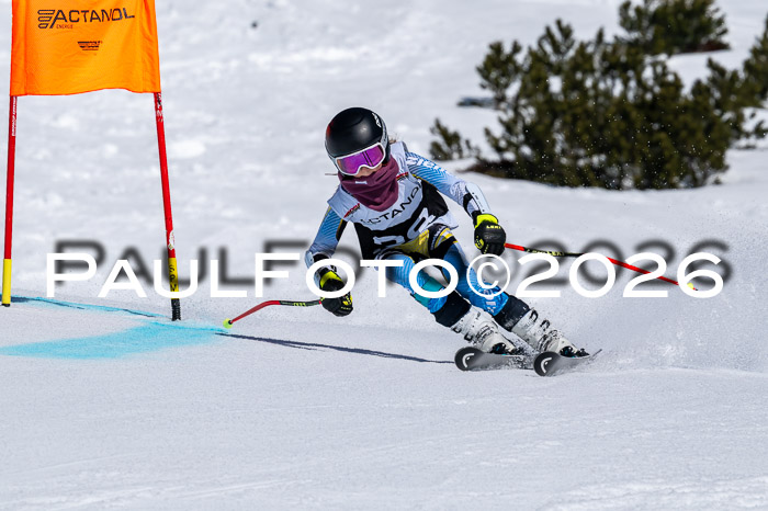 DSV - Actanol Deutscher Schülercup U12 Finale RSX 2026