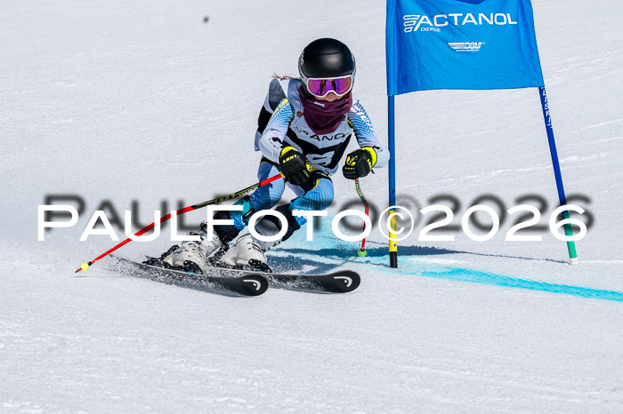 DSV - Actanol Deutscher Schülercup U12 Finale RSX 2026