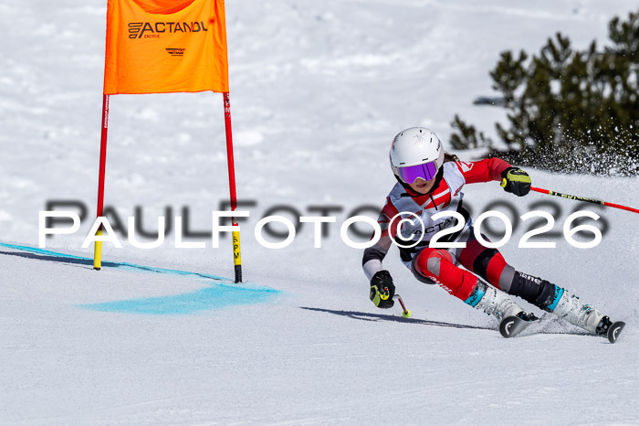 DSV - Actanol Deutscher Schülercup U12 Finale RSX 2026