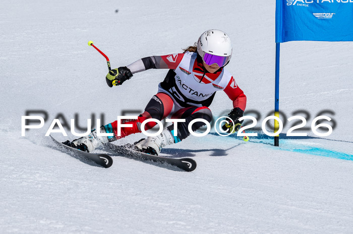 DSV - Actanol Deutscher Schülercup U12 Finale RSX 2026