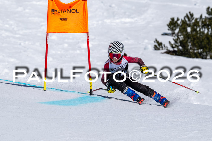 DSV - Actanol Deutscher Schülercup U12 Finale RSX 2026