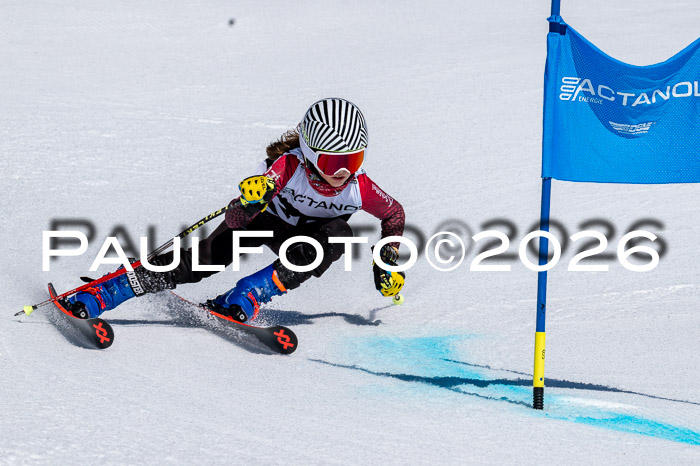 DSV - Actanol Deutscher Schülercup U12 Finale RSX 2026