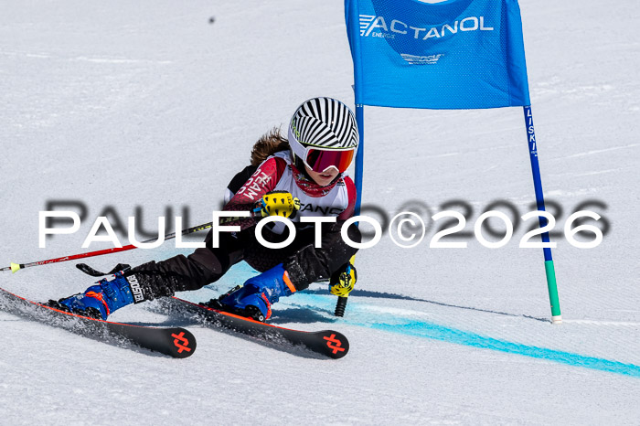 DSV - Actanol Deutscher Schülercup U12 Finale RSX 2026