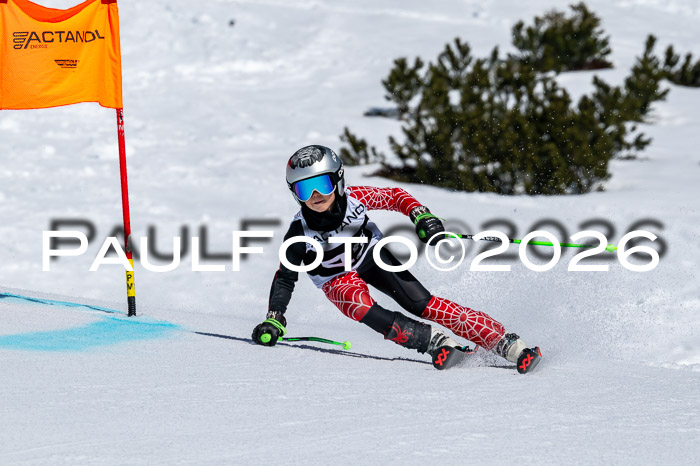 DSV - Actanol Deutscher Schülercup U12 Finale RSX 2026