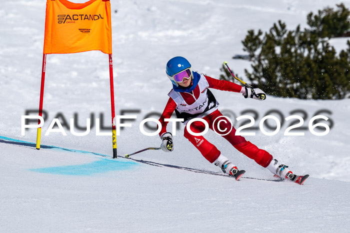 DSV - Actanol Deutscher Schülercup U12 Finale RSX 2026