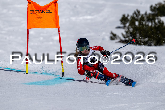 DSV - Actanol Deutscher Schülercup U12 Finale RSX 2026