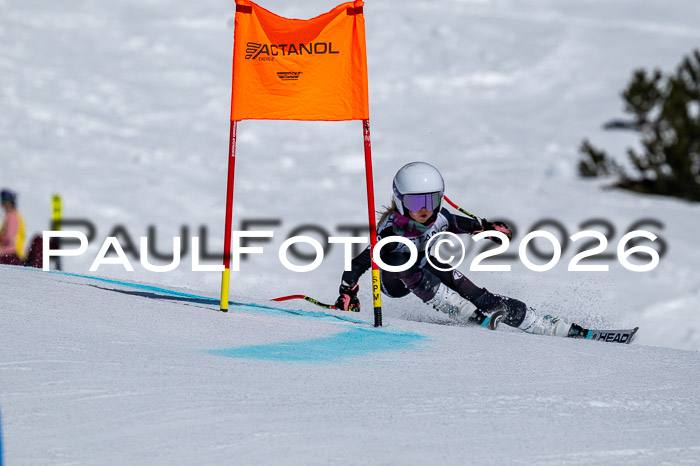 DSV - Actanol Deutscher Schülercup U12 Finale RSX 2026