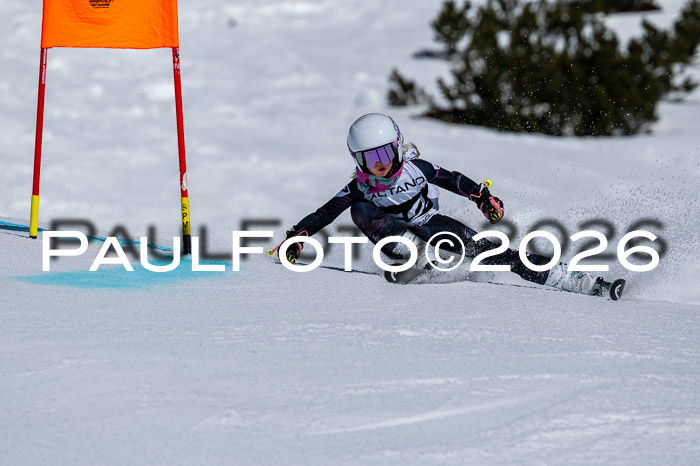 DSV - Actanol Deutscher Schülercup U12 Finale RSX 2026