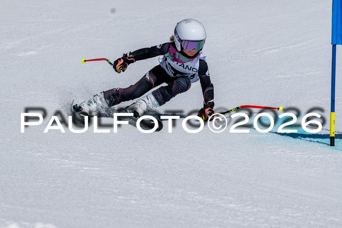 DSV - Actanol Deutscher Schülercup U12 Finale RSX 2026