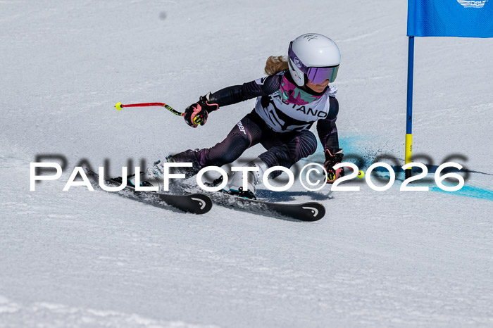 DSV - Actanol Deutscher Schülercup U12 Finale RSX 2026