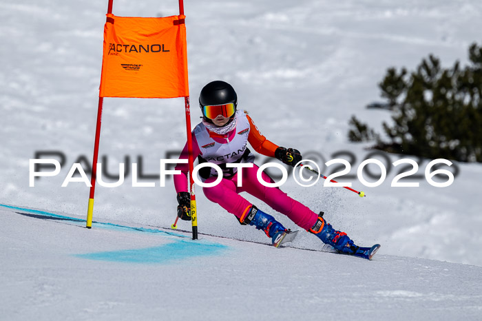 DSV - Actanol Deutscher Schülercup U12 Finale RSX 2026