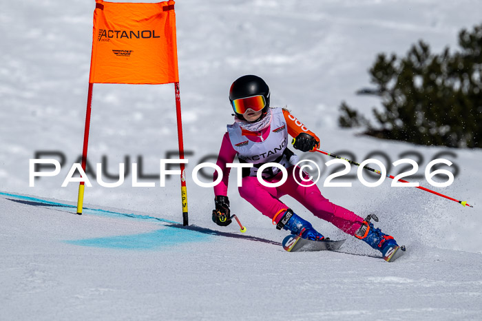 DSV - Actanol Deutscher Schülercup U12 Finale RSX 2026