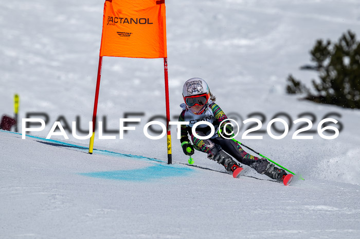 DSV - Actanol Deutscher Schülercup U12 Finale RSX 2026