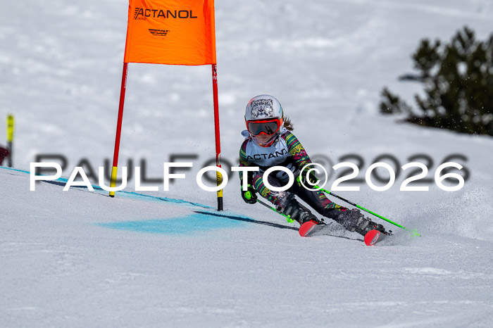 DSV - Actanol Deutscher Schülercup U12 Finale RSX 2026