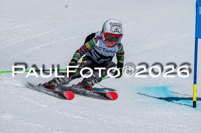 DSV - Actanol Deutscher Schülercup U12 Finale RSX 2026