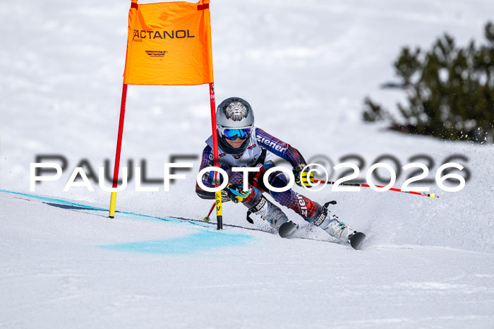 DSV - Actanol Deutscher Schülercup U12 Finale RSX 2026
