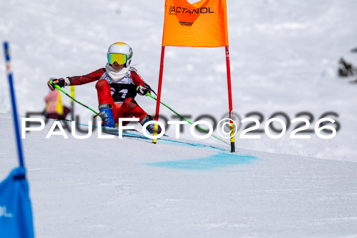 DSV - Actanol Deutscher Schülercup U12 Finale RSX 2026