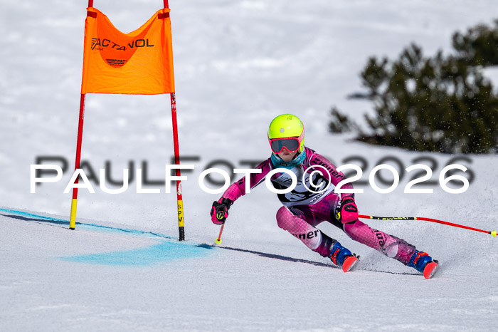DSV - Actanol Deutscher Schülercup U12 Finale RSX 2026