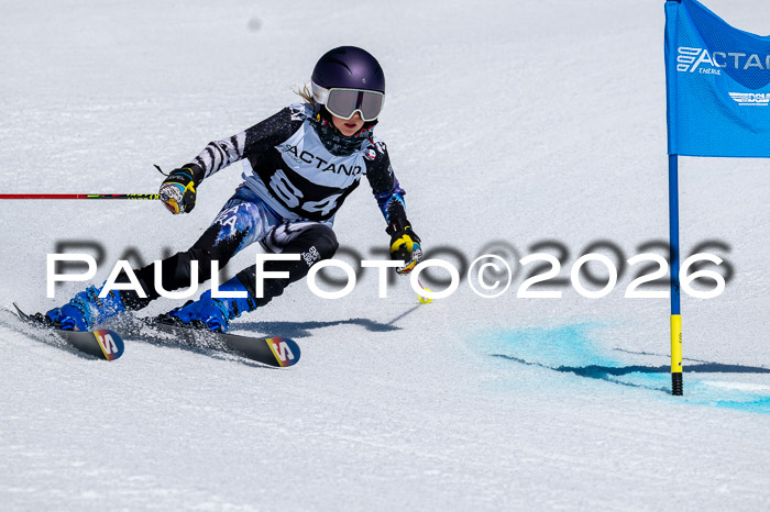 DSV - Actanol Deutscher Schülercup U12 Finale RSX 2026