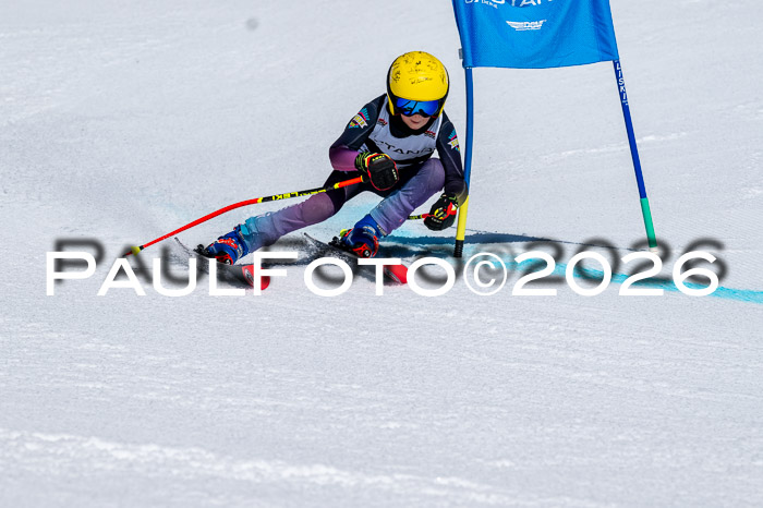 DSV - Actanol Deutscher Schülercup U12 Finale RSX 2026