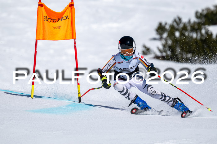 DSV - Actanol Deutscher Schülercup U12 Finale RSX 2026