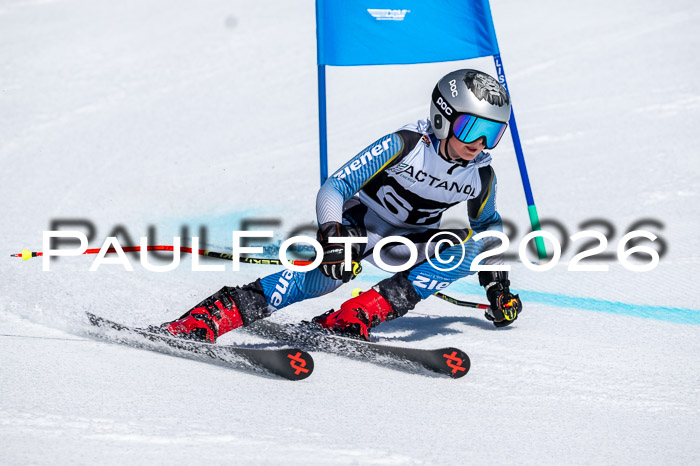 DSV - Actanol Deutscher Schülercup U12 Finale RSX 2026