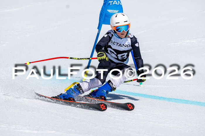 DSV - Actanol Deutscher Schülercup U12 Finale RSX 2026